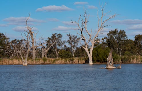 Floods can be a disaster for humans – but for nature, it's boom time