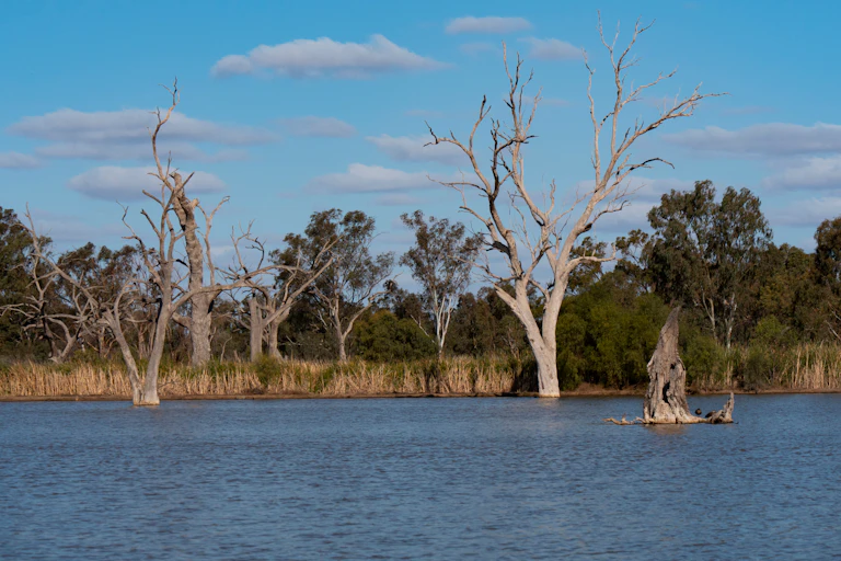 floodplain