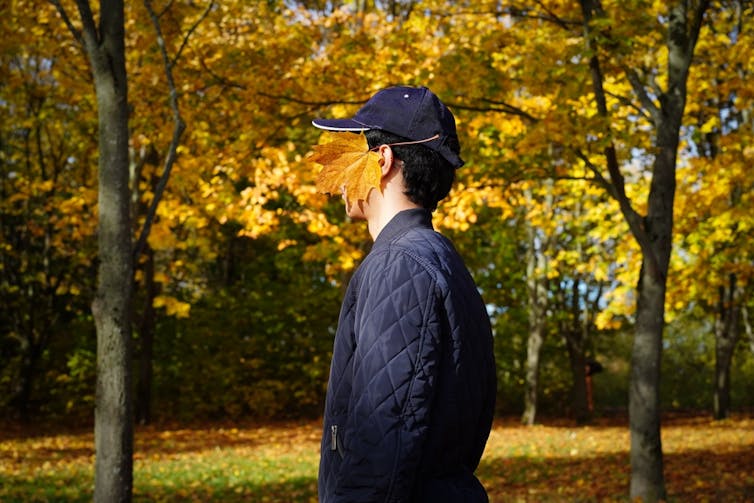 A person's face is covered by a leaf.