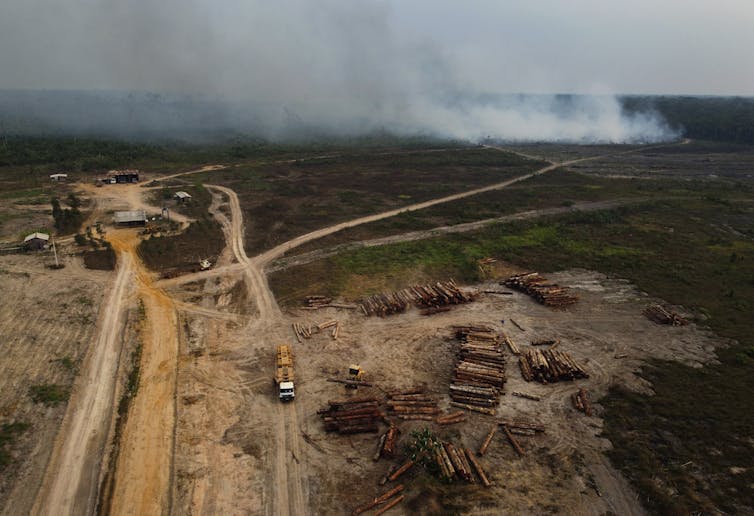 A forest area with smoke bellowing on one side and logging activities on the other.