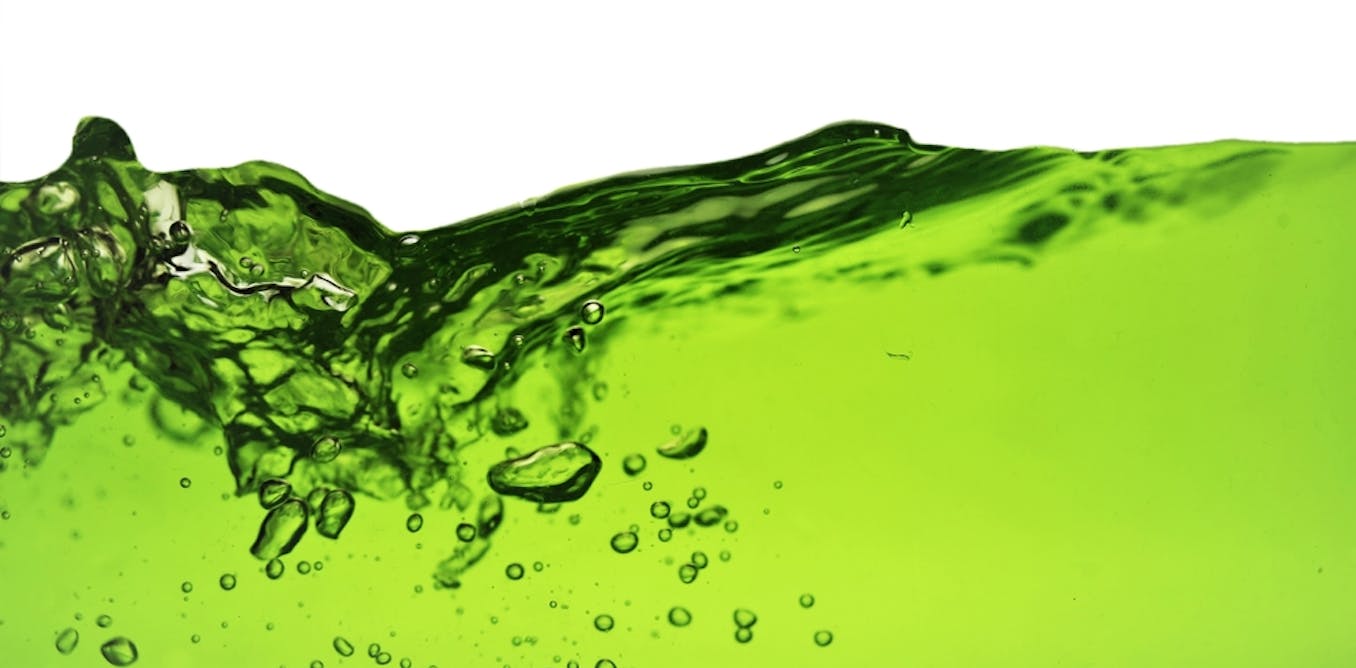 blog-1-1 Chlorophyll water can't clear your skin or detox your liver. But this TikTok trend got one thing right