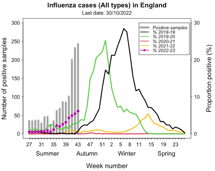 A graph showing the number of flu cases and weekly positivity rate in England over recent years.
