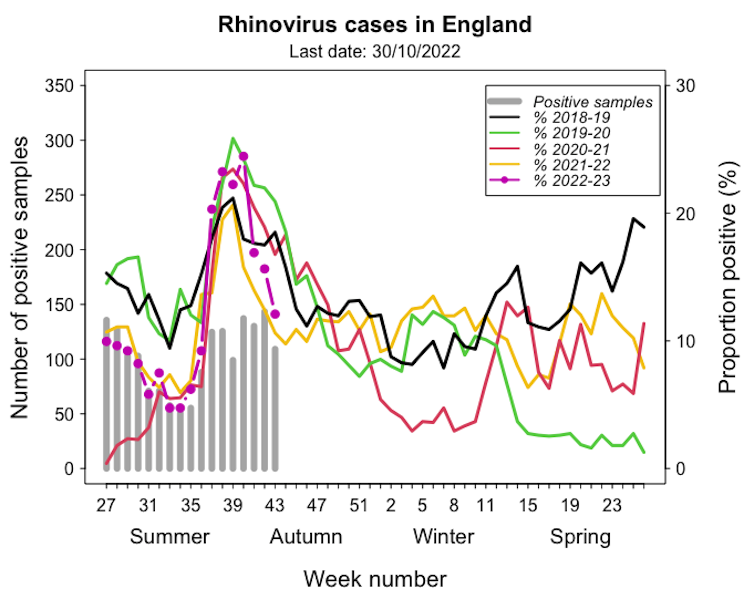 A graph showing the number of rhinovirus cases and weekly positivity rate in England over recent years.