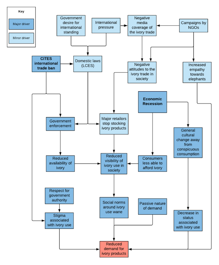 A diagram showing which factors have been influential in driving the reduction in Japanese demand for ivory.