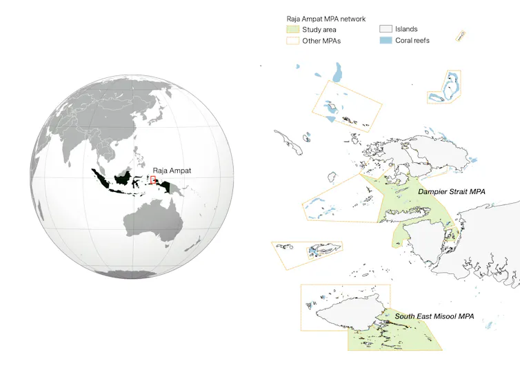 Marine Protected Areas in Raja Ampat, West Papua.
