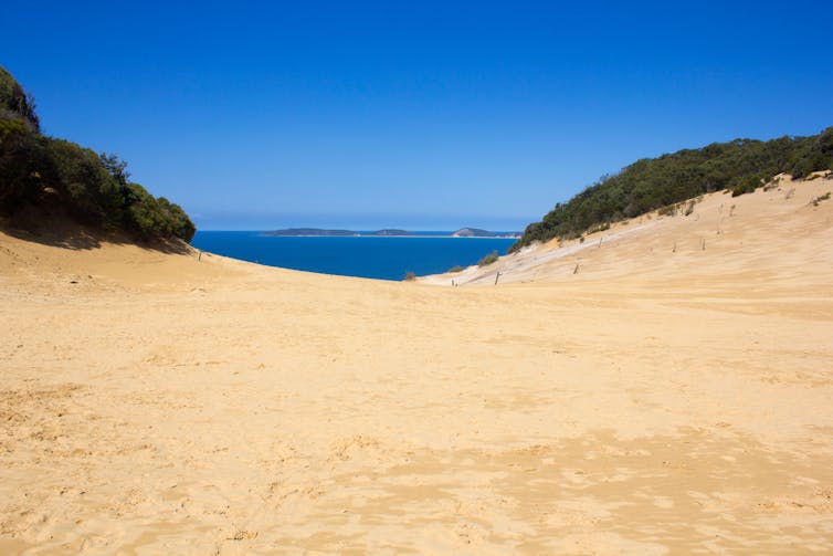 Looking out to sea from a coastal dune