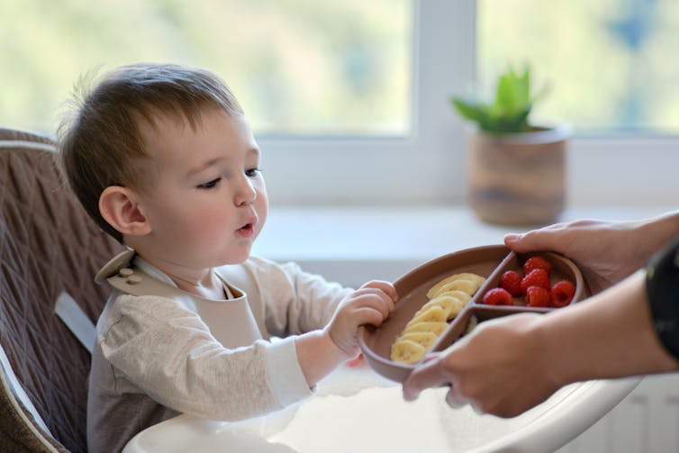 toddler being offered cut up fruit