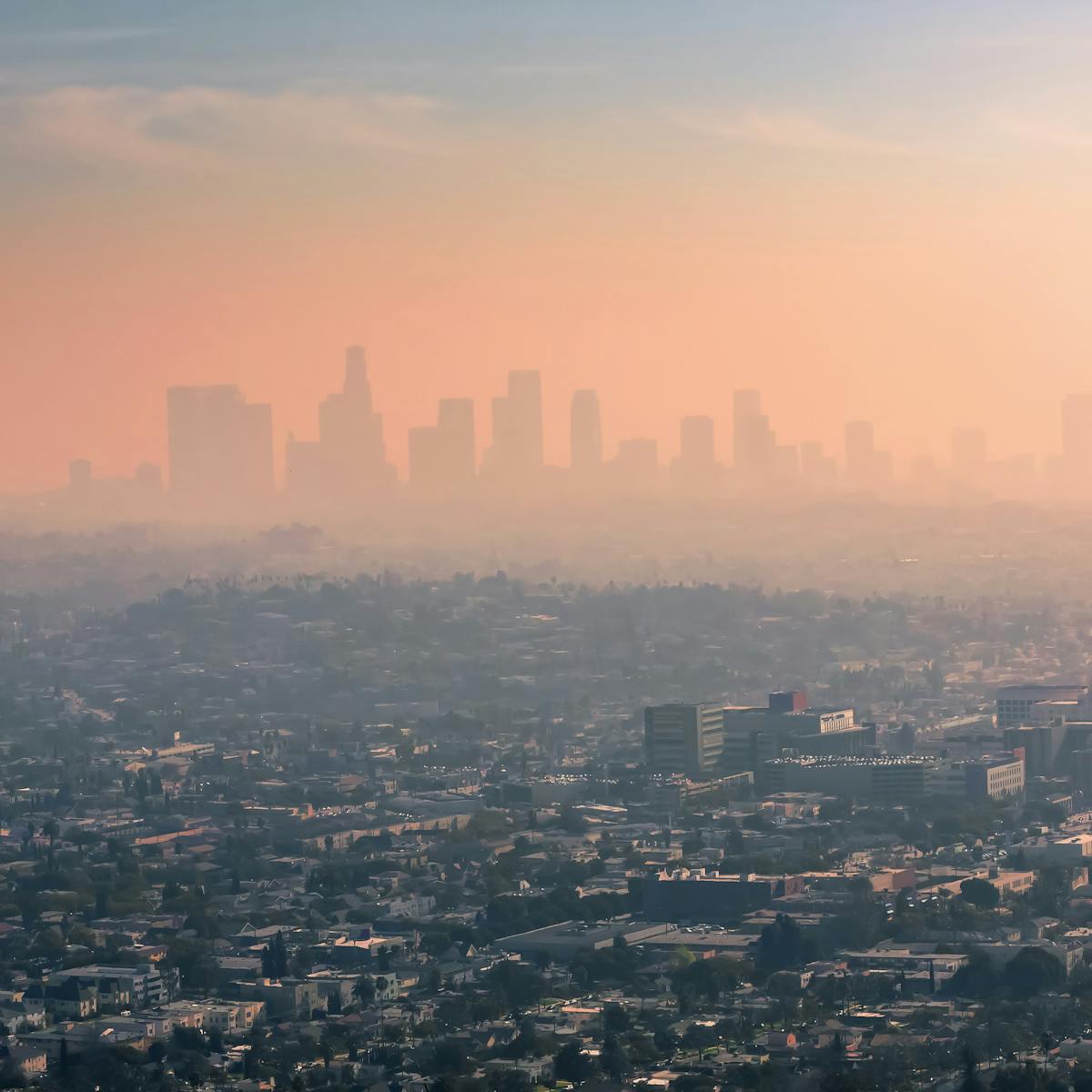 Air pollution harms the brain and mental health, too – a large-scale  analysis documents effects on brain regions associated with emotions