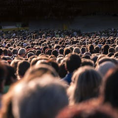 research report about overpopulation