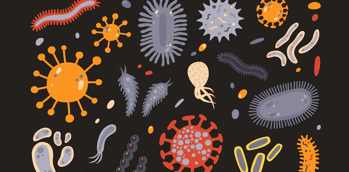 Apparus Gabriel : « Comment sont apparus les microbes et à quoi servent-ils