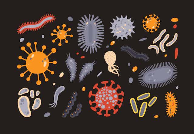 Collection de divers micro-organismes isolés sur fond noir.