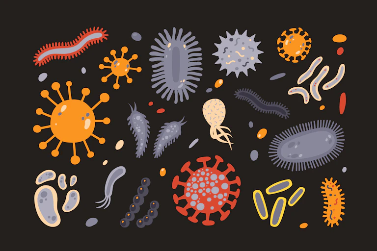 Collection de divers micro-organismes isolés sur fond noir.