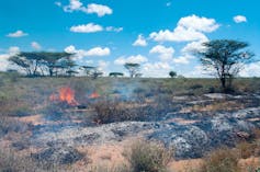 A small wildfire burning shrubs in a savannah landscape.