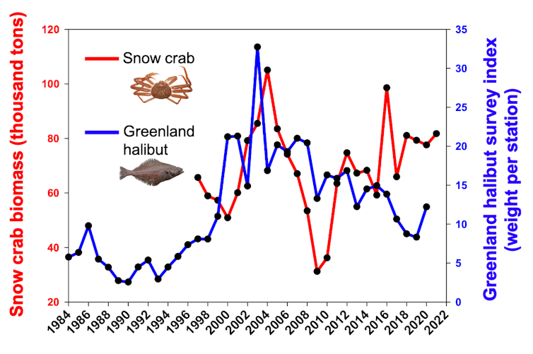 graph presenting the evolution of snow crab and halibut abundance