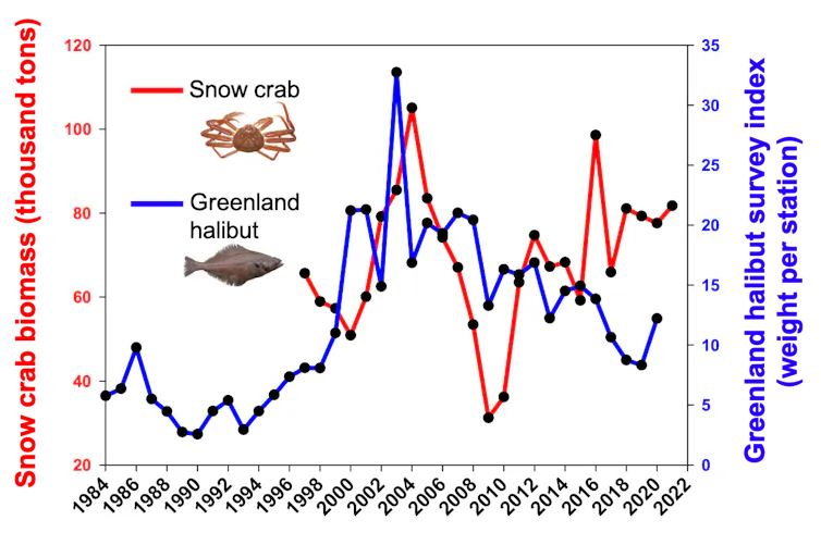 graph presenting the evolution of snow crab and halibut abundance