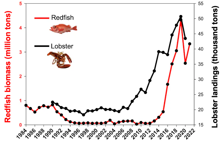 graph showing the increase in abundance of lobster and redfish