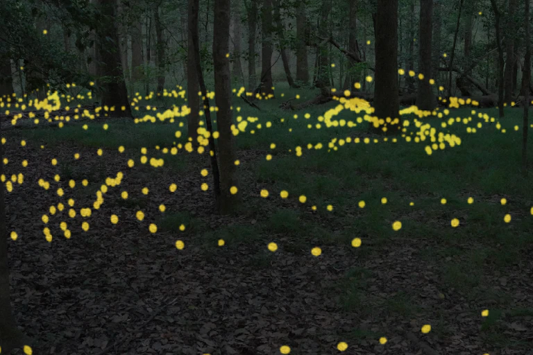 yellow dots of light throughout a wooded landscape at dusk