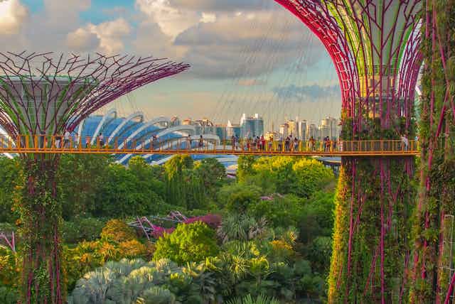 Super Tree Grove at Gardens by the Bay. Structures covered in greening in a garden with tall city buildings in the background