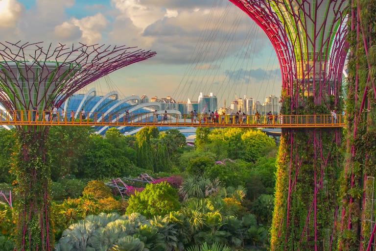 Super Tree Grove at Gardens by the Bay. Structures covered in greening in a garden with tall city buildings in the background
