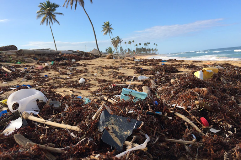 Plastic pollution on a beach