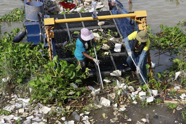 People cleaning rubbish from a river bank