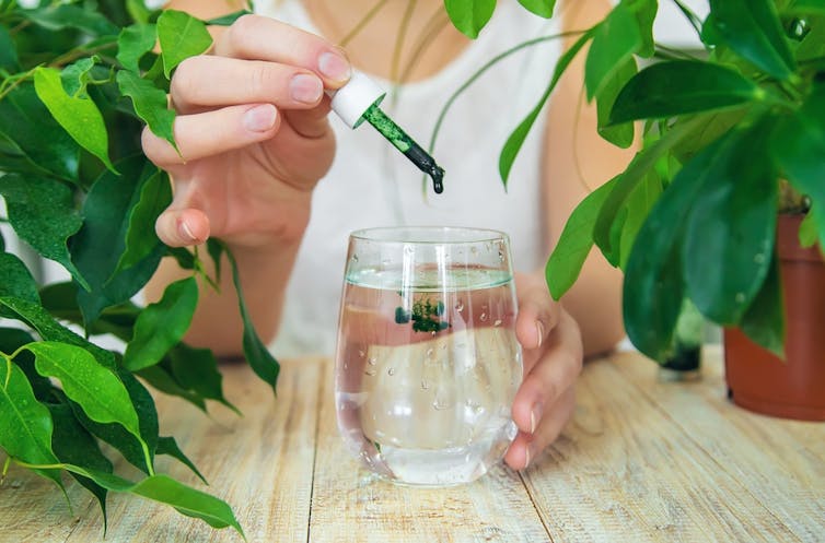 Woman dropping chlorophyll extract into glass of water