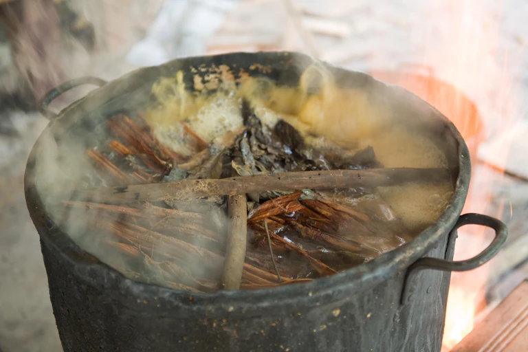 Ayahuasca brew