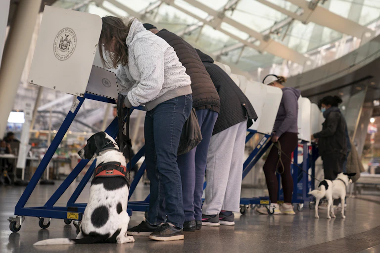 People stand in a line voting. Two of them are accompanied by dogs on leashes.