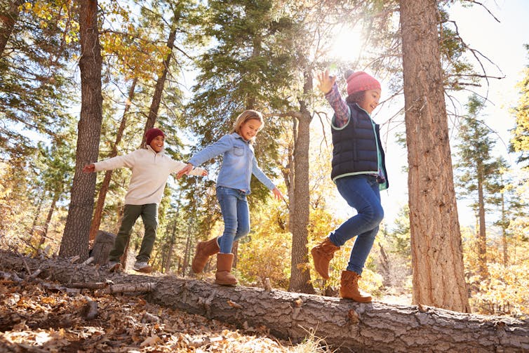 Three children walking in a forrest.