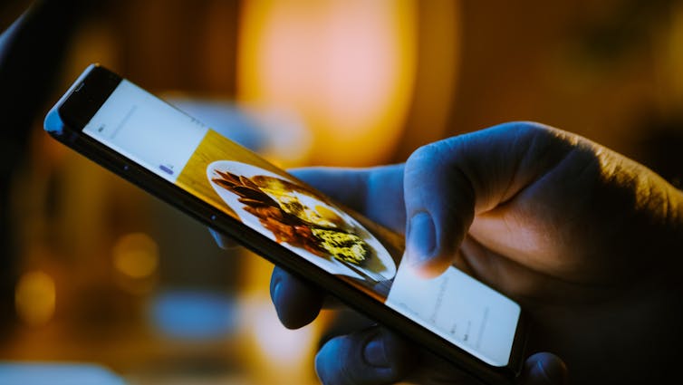 A person looking at a picture of food on their smartphone