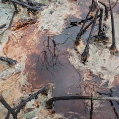 recent research on wastewater treatment