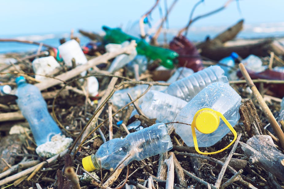 A close-up image of plastic bottles caught among debris on a beach.