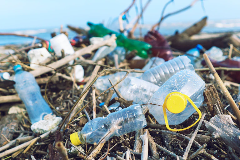 A close-up image of plastic bottles caught among debris on a beach.