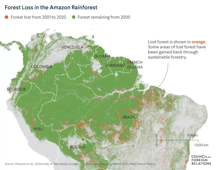 Map of the Amazon region showing forest loss from 2001 to 2020, much of it in Brazil.