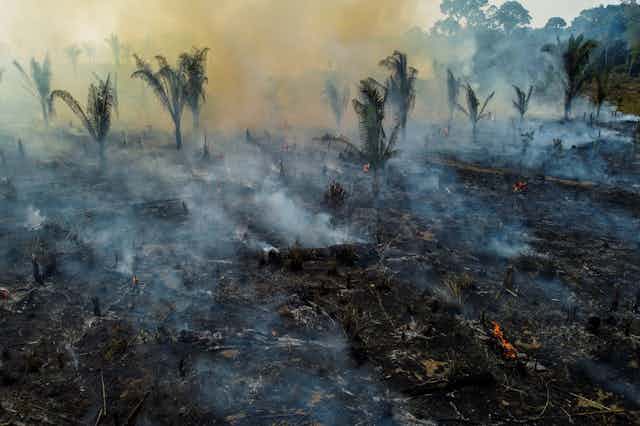 Smoke rises from a smoldering tract of tropical land