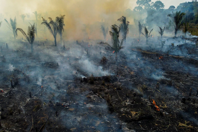 Smoke rises from a smoldering tract of tropical land