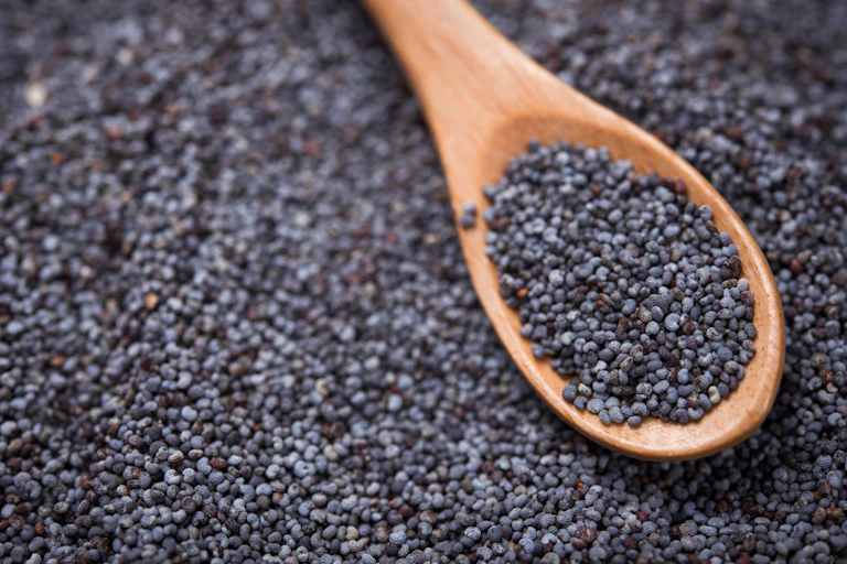 Wooden spoon containing poppy seeds resting on pile of poppy seeds
