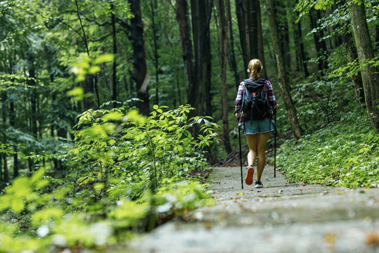 A woman walks in the bush.