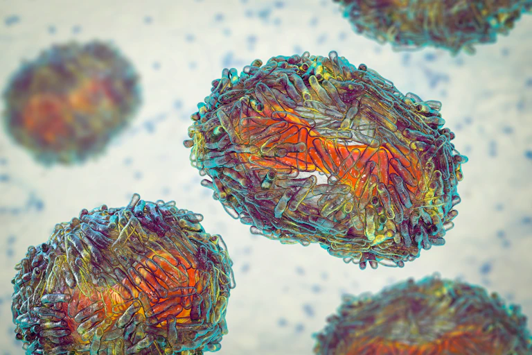 An artist's digital drawing of a monkeypox virus cell.