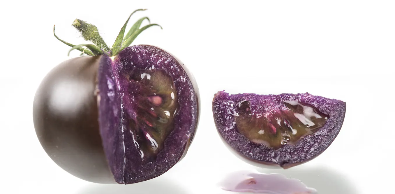 Gmf Examples Examples Of Genetically Modified Organisms Food