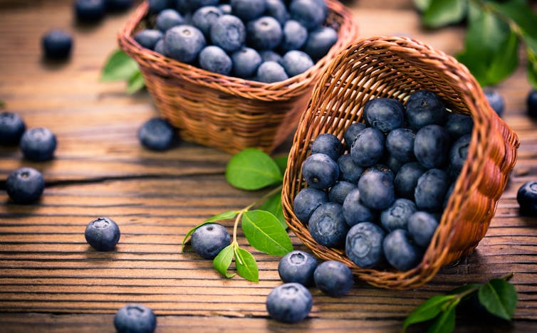 A basket of blueberries.