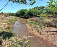 A small river surrounded by trees and vegetation.