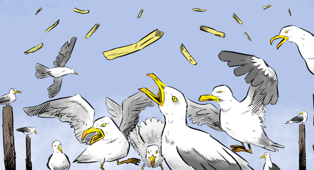 Illustration of a flock of seagulls fighting over chips raining down from the sky