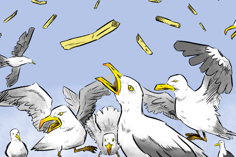 Illustration of a flock of seagulls fighting over chips raining down from the sky
