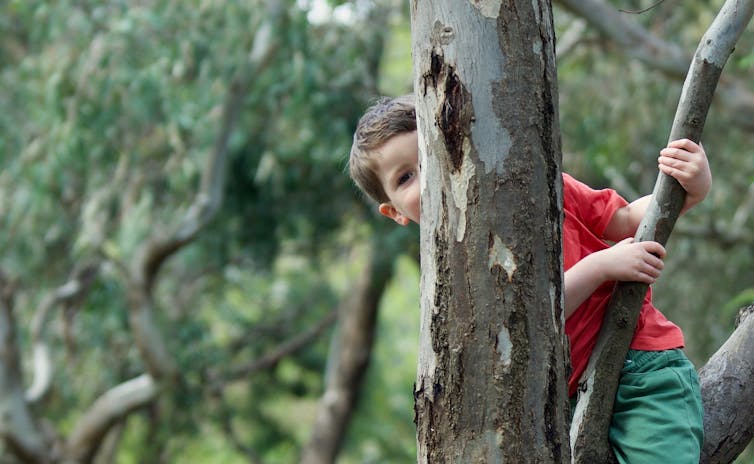 young child hides behind tree branch
