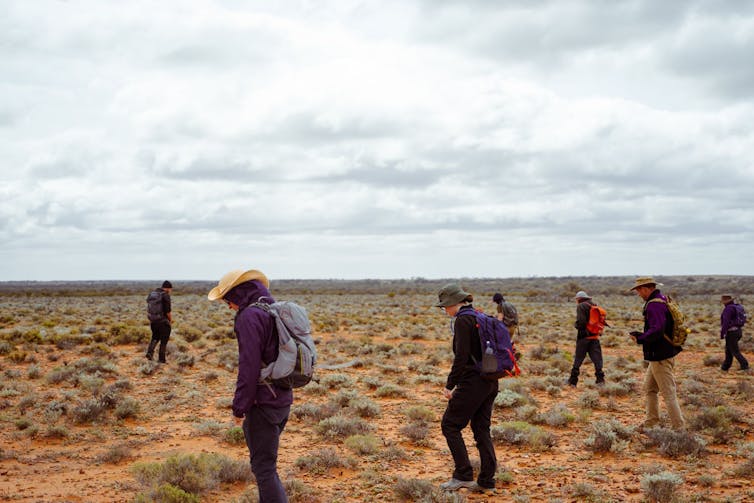 Photo of several people walking through a desert field looking at the ground.