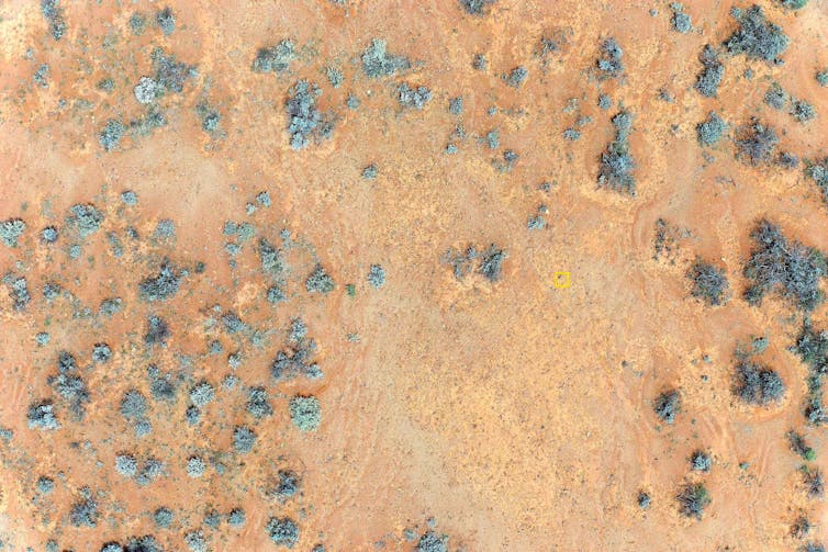 An aerial view of a desert field with a black dot (a meteorite) highlighted by a yellow square.