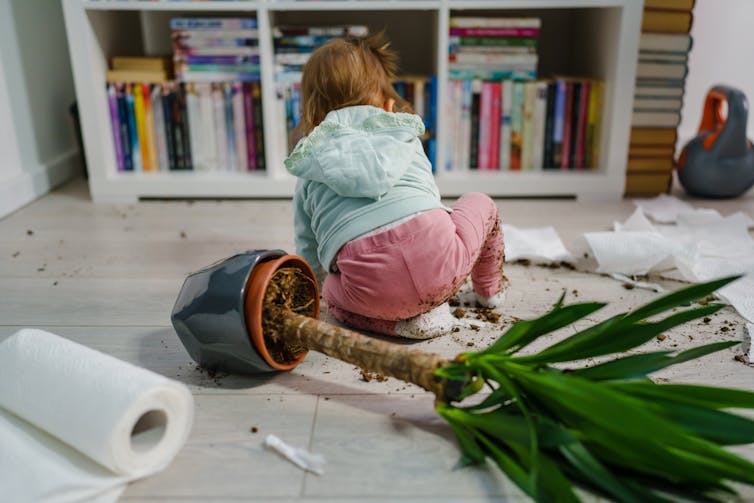 A child knocks over a potplant.