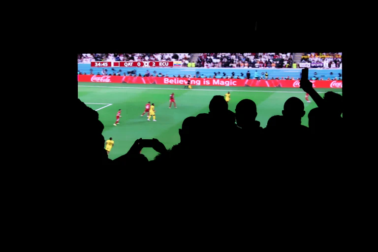 Dark silhouettes of people stand in a crowd to watch a soccer game, lit up.