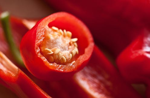 Addicted to chilli? Here's how it might help us regain our sense of taste after COVID